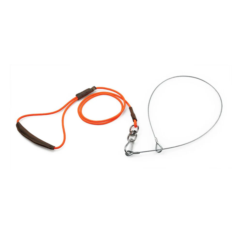 RISERVA - CORDINO DA TRAINO PER SELVAGGINA ARANCIO FLUO